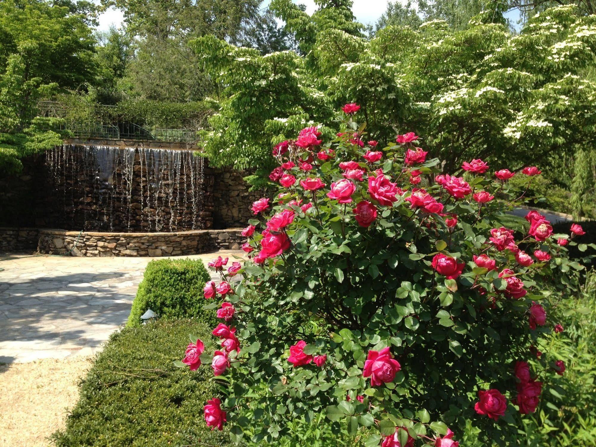 Hotel Om Sanctuary Holistic Retreat Asheville Exteriér fotografie